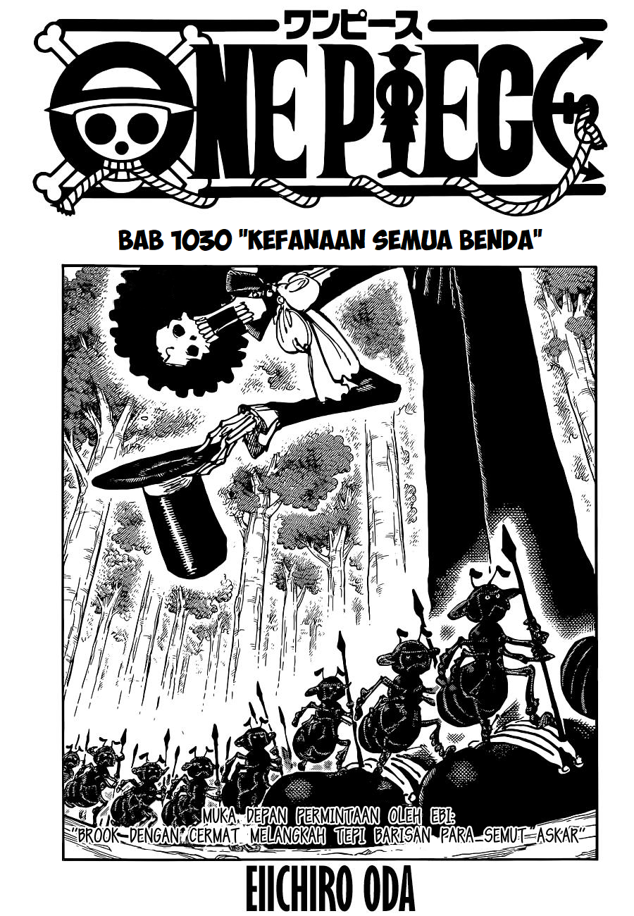 One Piece Manga 1030